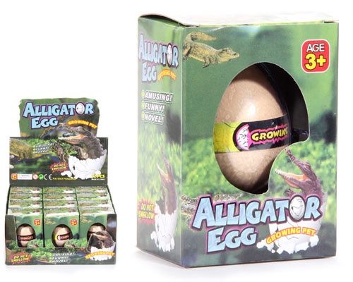 Alligator Growing Egg Toy