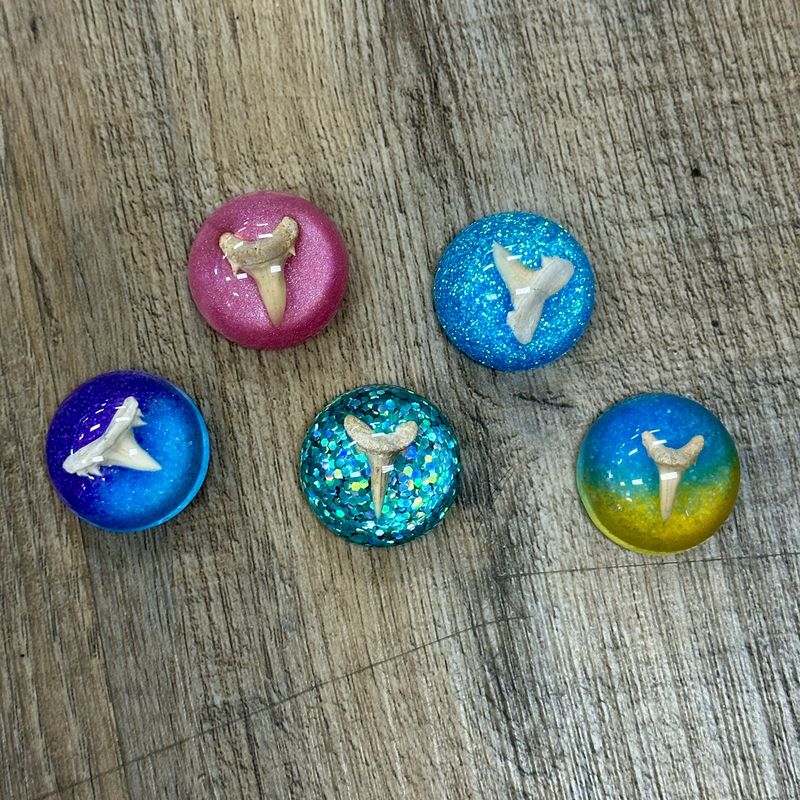 Shark Tooth Small Acrylic Magnet