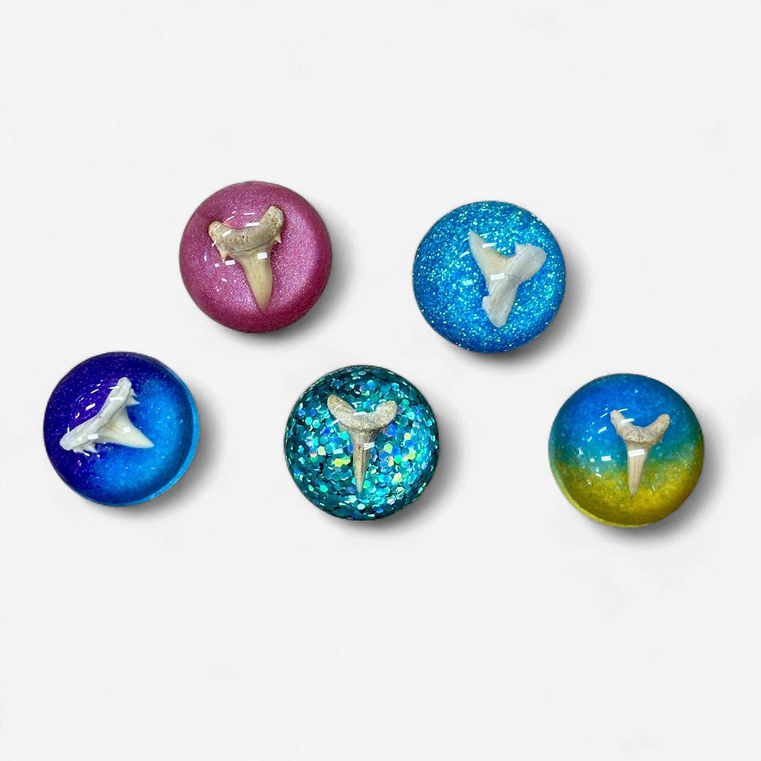 Shark Tooth Small Acrylic Magnet