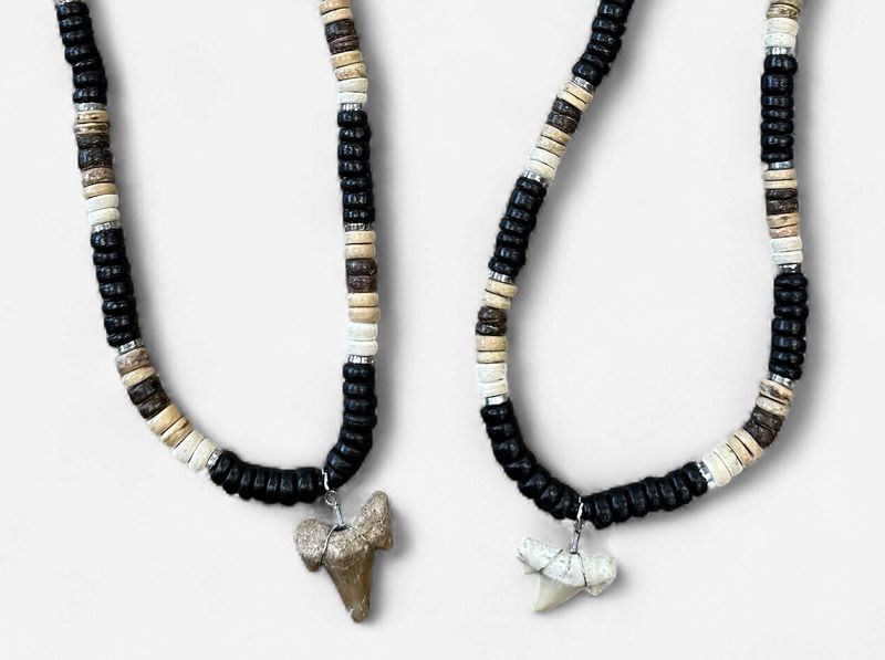 Shark Tooth Coco Bead Necklace