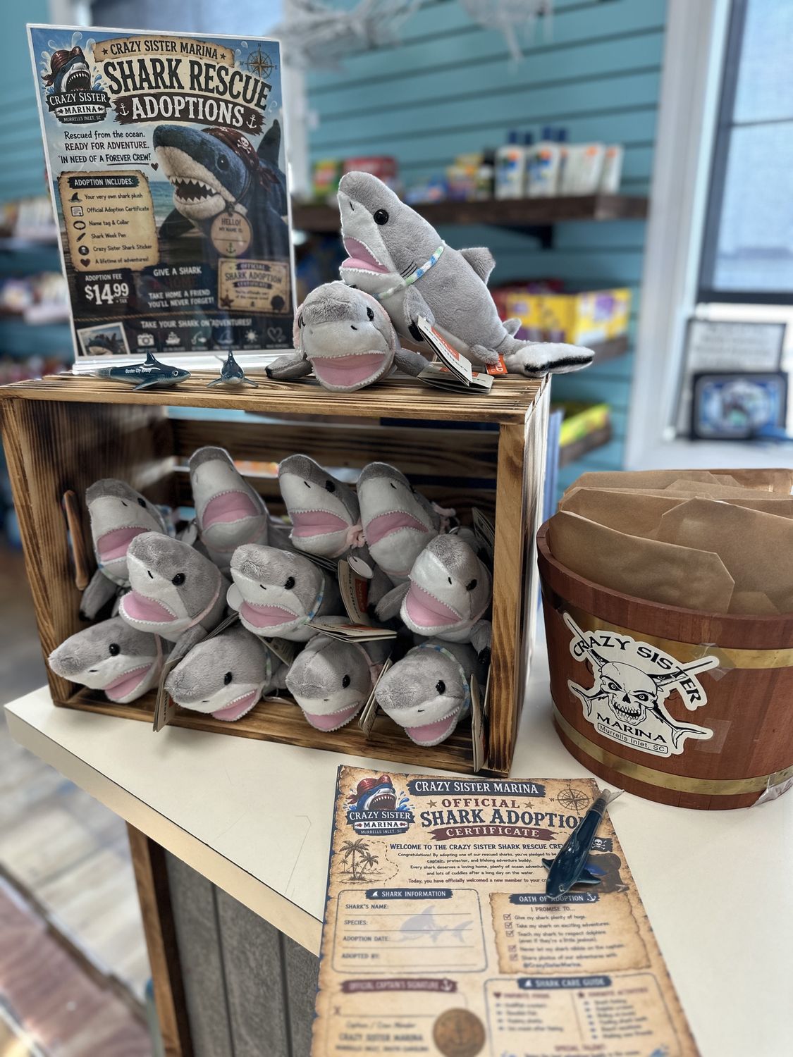 Shark Adoption Kit