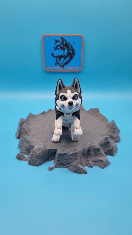 🐾 Husky Maya – Abenteuer auf vier Pfoten