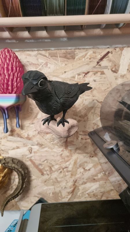 🦅 Munin – Rabe der Erinnerung