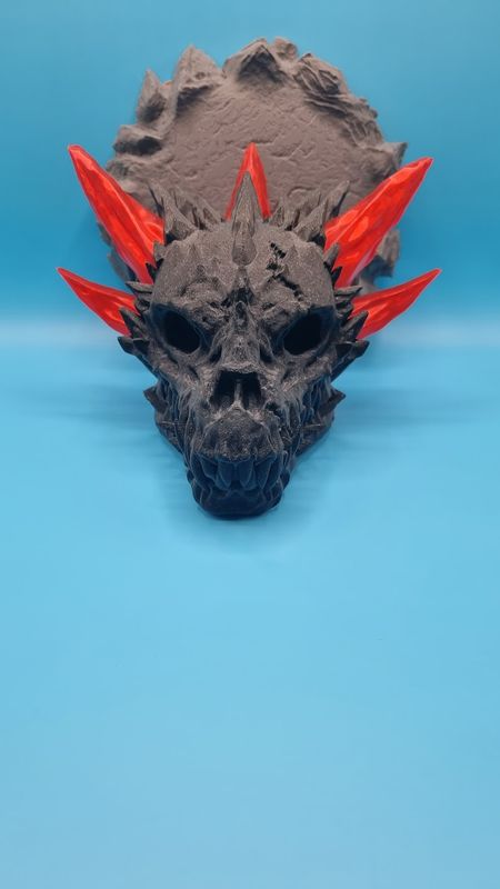 ​🐲 Drachenschädel – Wandrelikt der Legenden