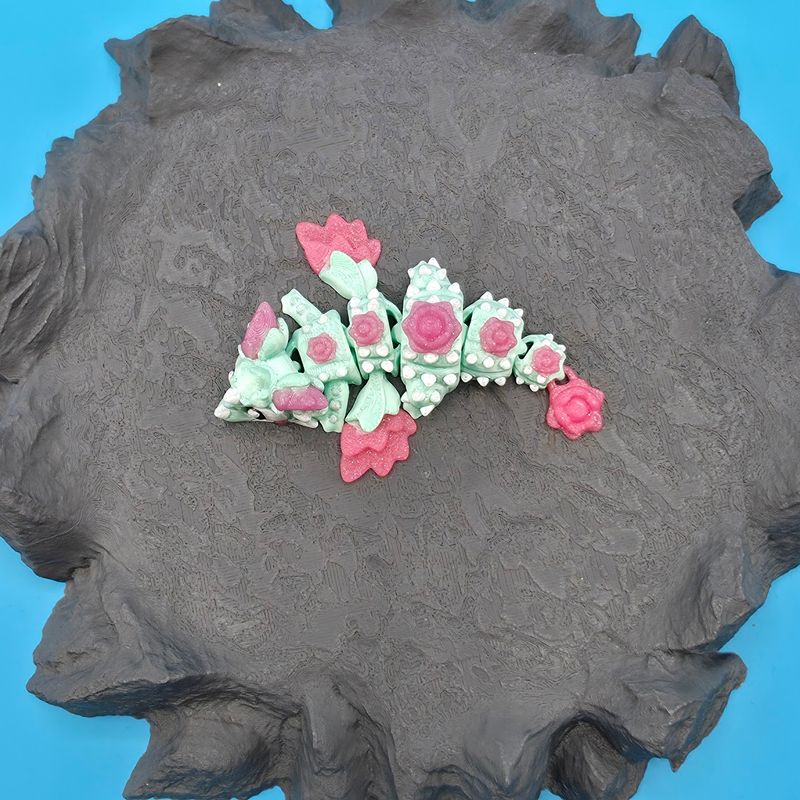 🌵🐉 Kleiner Kaktus Drache