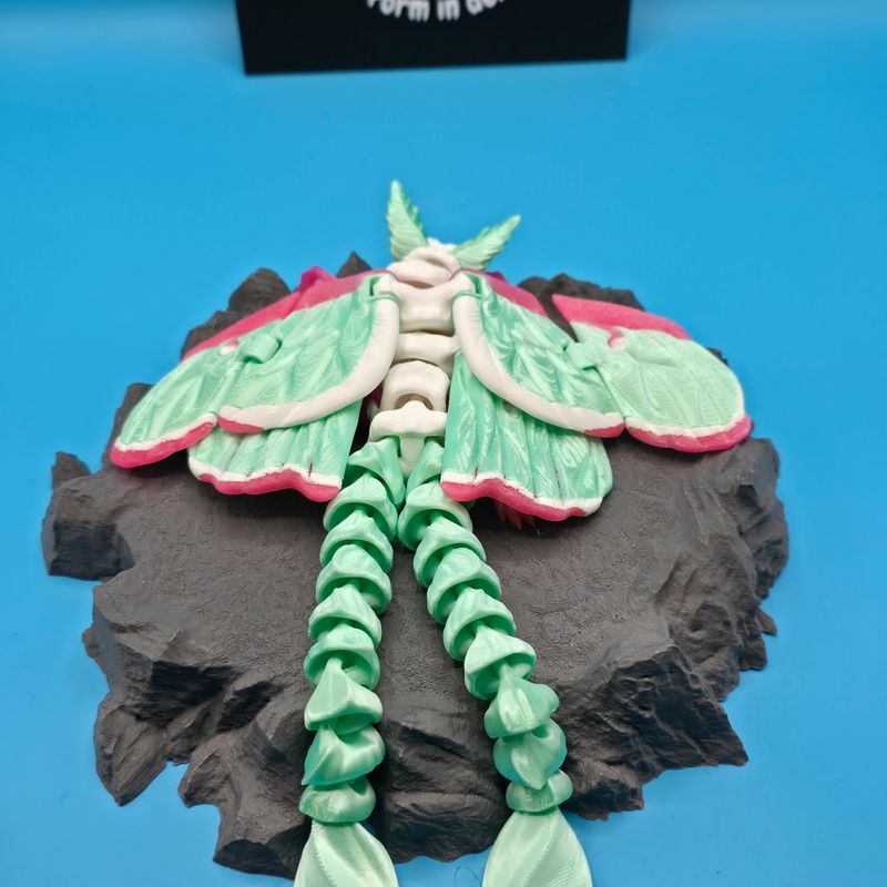 Flexi Mond Motten Drache