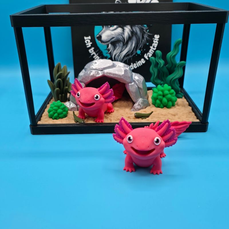 Tiny Terra Axolotl Terrarium