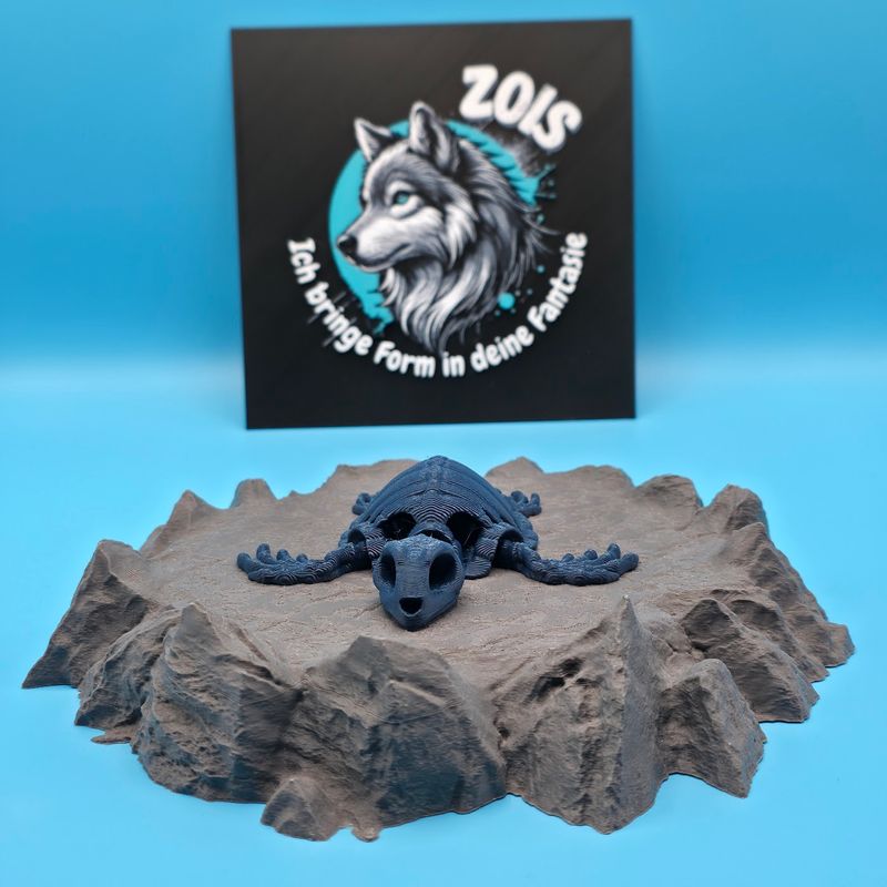 Skelett Schildkröte