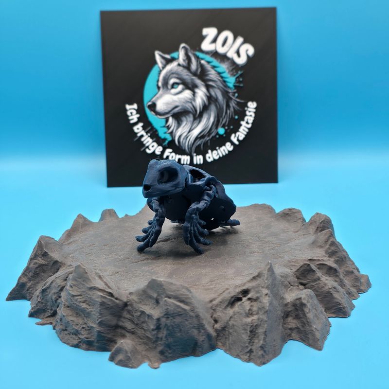 Skelett Schildkröte