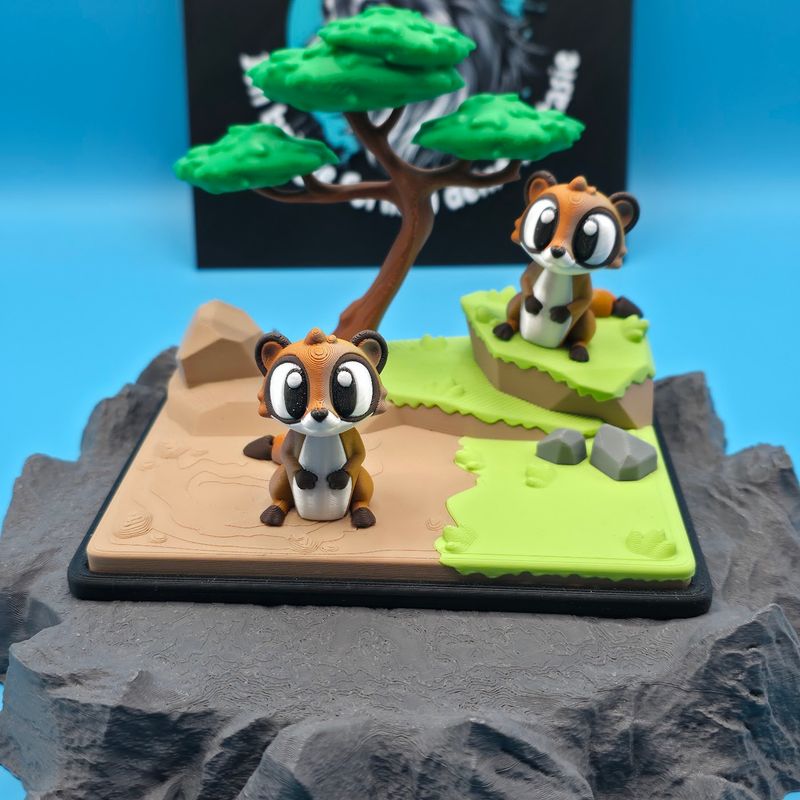 Kleines Erdmännchen ✨🐾