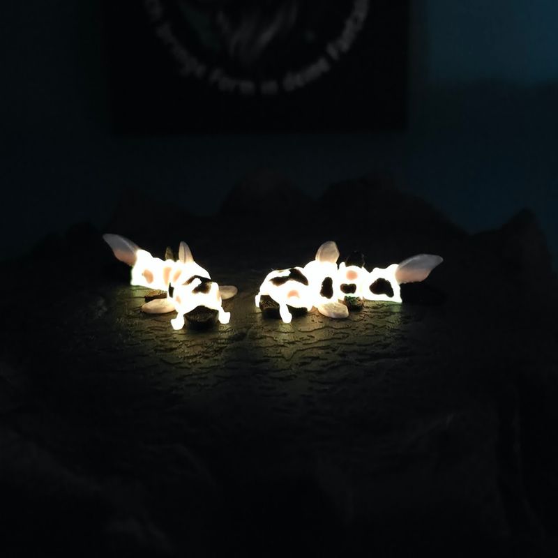Mini Koi Karpfen ✨🐟