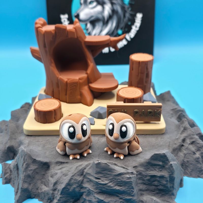 Kleine Schleiereule 🤍🦉