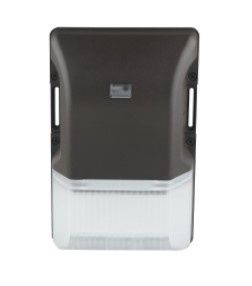 WALL MOUNT 20W CW 120V W/S