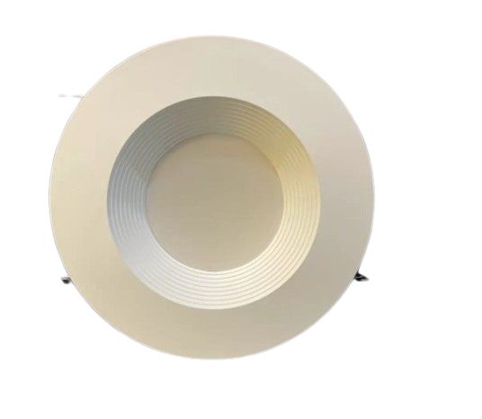 6 DOWN LIGHT 14W WW