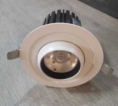 LED DOWN LIGHT BULL EYE 20W 3CCT