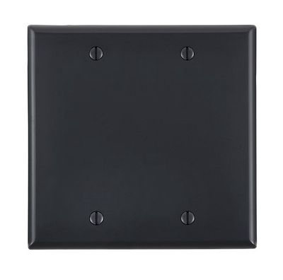 LT- 2 GANG BLANK PLATE BLK 80725-E