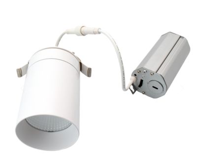 3'' CEILING MOUNT CYLINDER DOWNLIGHT 5CCT WHT R31405