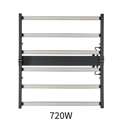 HORTICULTURAL LIGHT 720W