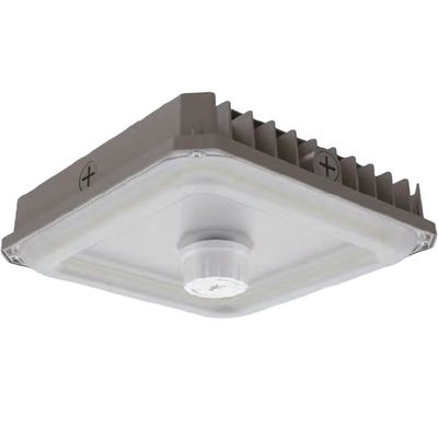 CANOPY SLIM 60W CW 110-347V