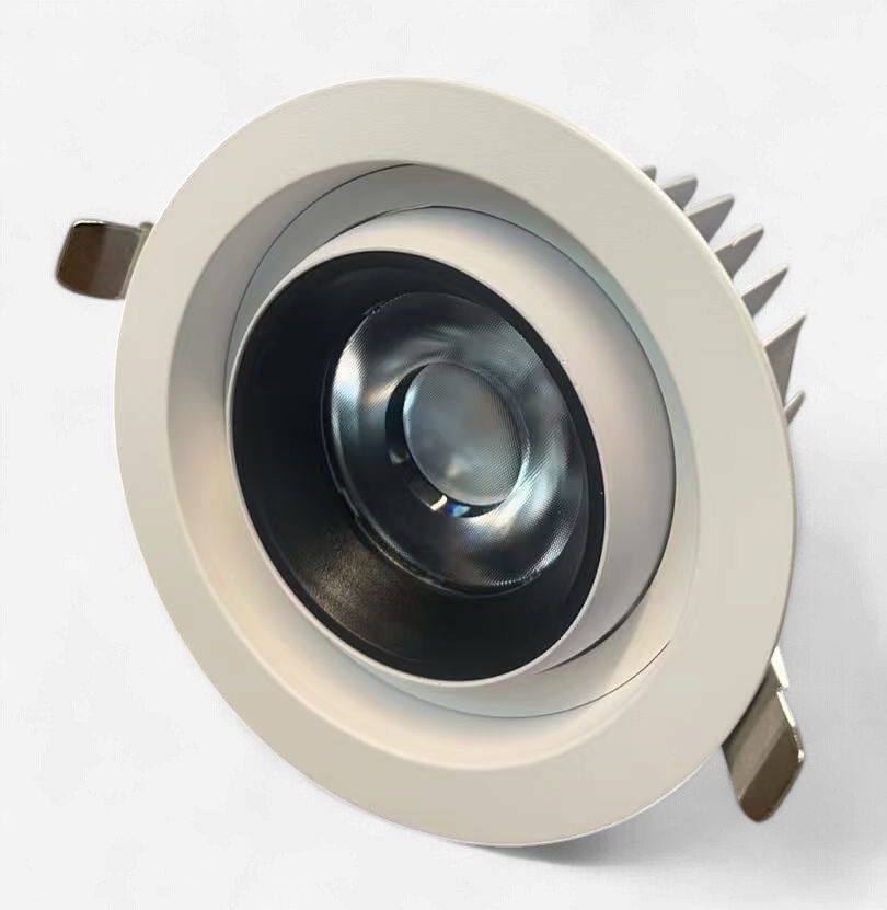 LED DOWN LIGHT BULL EYE 24W 5CCT