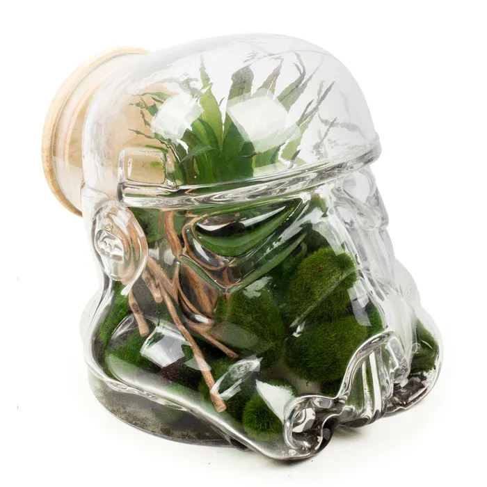 Original Stormtrooper Terrarium & Cookie Jar