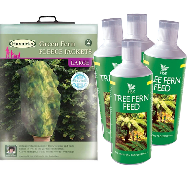 Tree Fern Care Pack