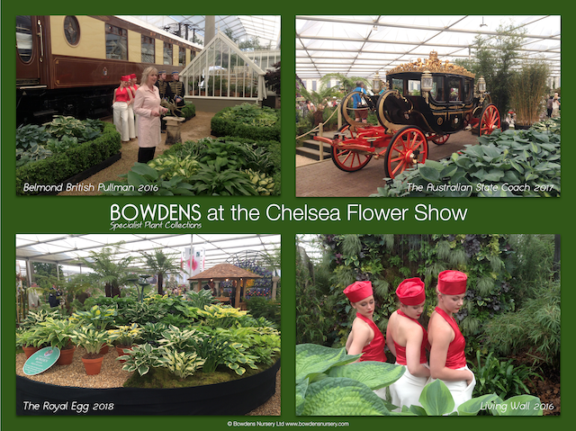 Bowdens Jigsaw Puzzles