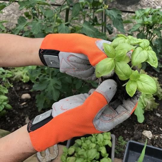 Donkey Works Gardening Gloves