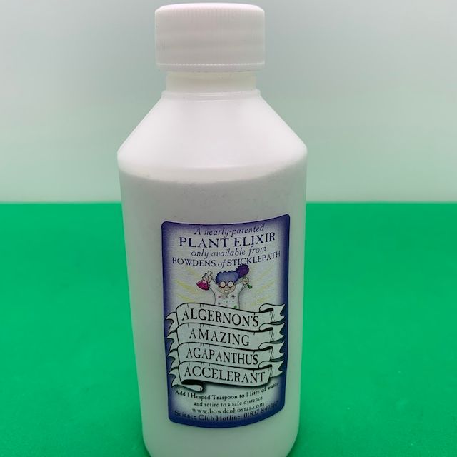 Algernon's Amazing Agapanthus Accelerant