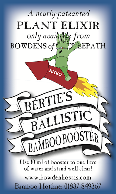 Bertie's Ballistic Bamboo Booster