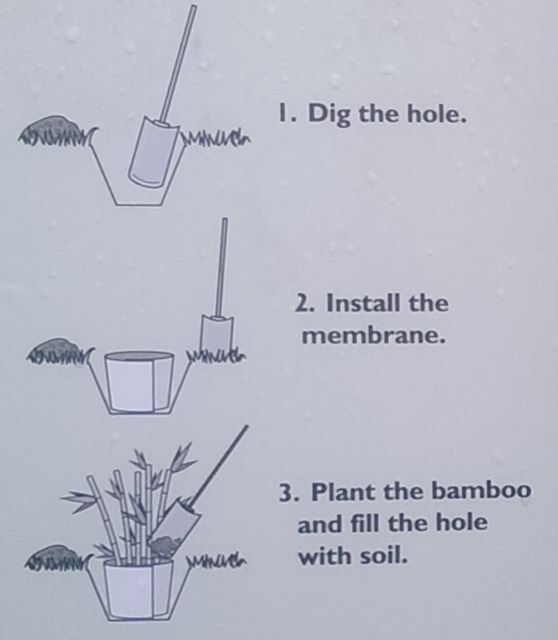 HSK Bamboo Control System - Rhizome Barrier