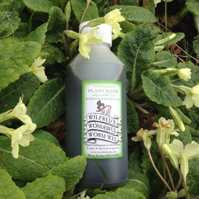 Wilfred's Wonderful Worm Wee