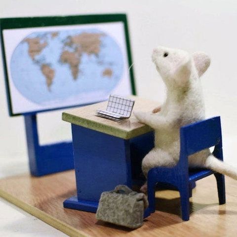 Hosta 'School Mouse' ™