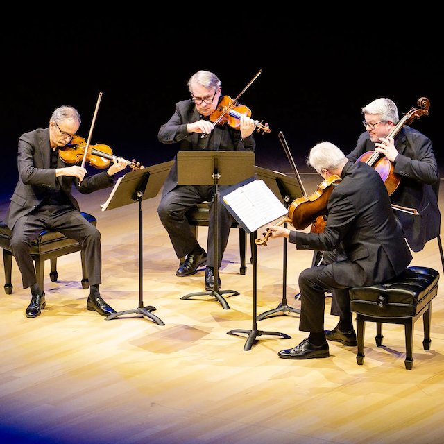 Hosta 'String Quartet'