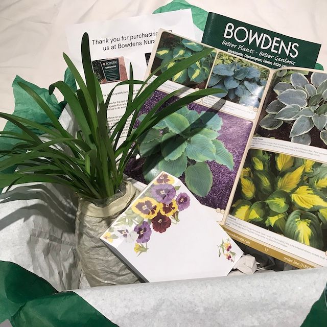 Hosta Gift Subscription