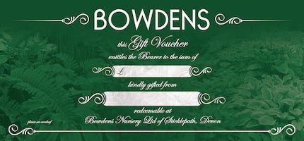Bowdens Gift Voucher