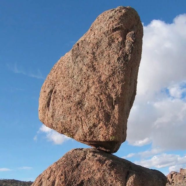 Hosta 'Gravity Rocks'