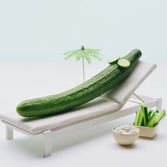 Hosta 'Cool as a Cucumber'