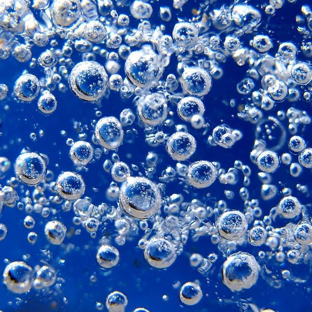 Hosta 'Tiny Bubbles'