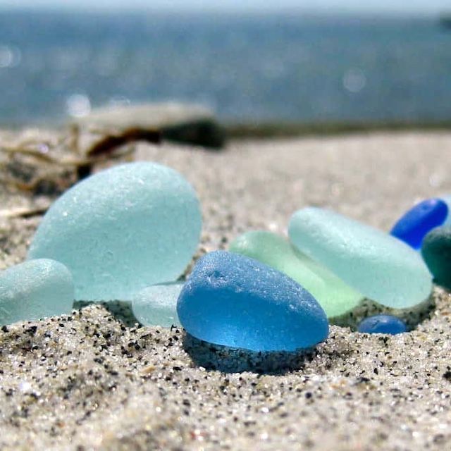 Hosta 'Celestial Sea Glass'