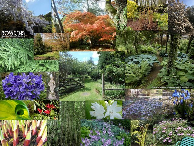 Bowdens Jigsaw Puzzles