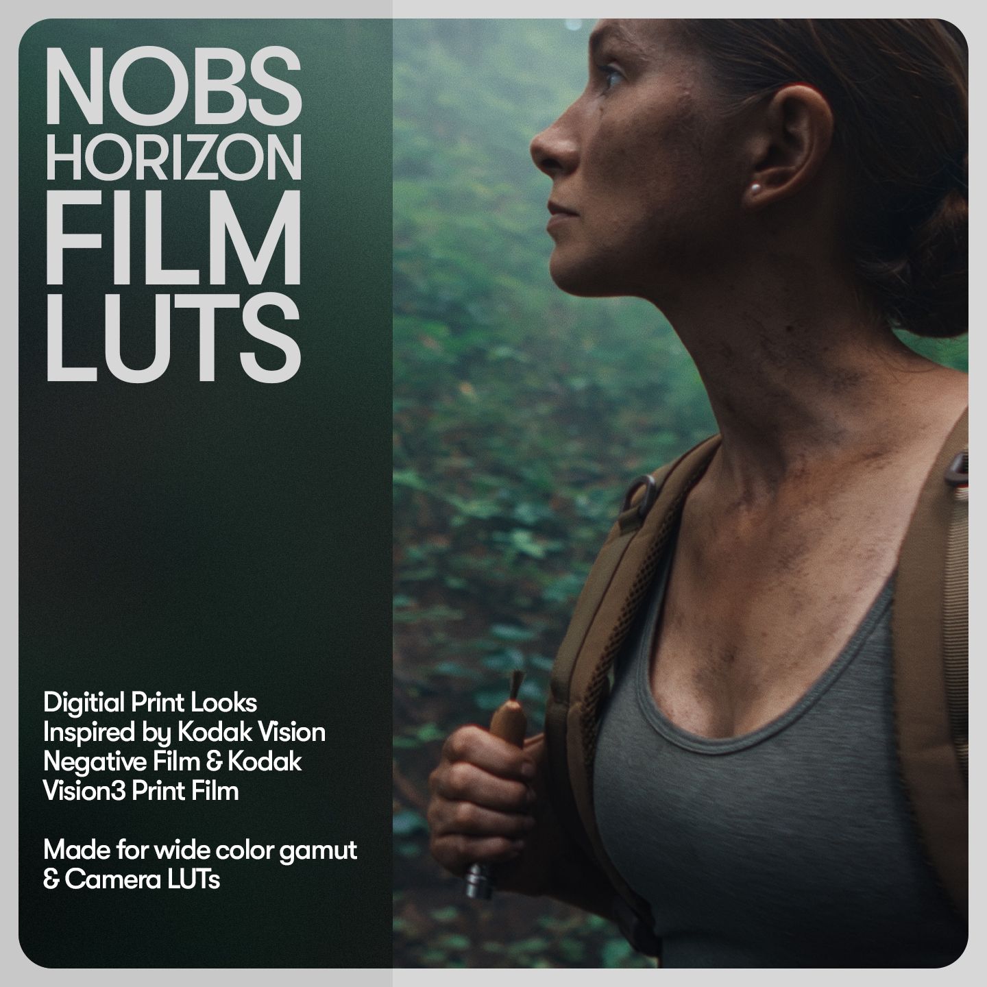 NOBS Horizon Film LUTs Vol. 1 (Scene Referred &amp; Camera LUTs)
