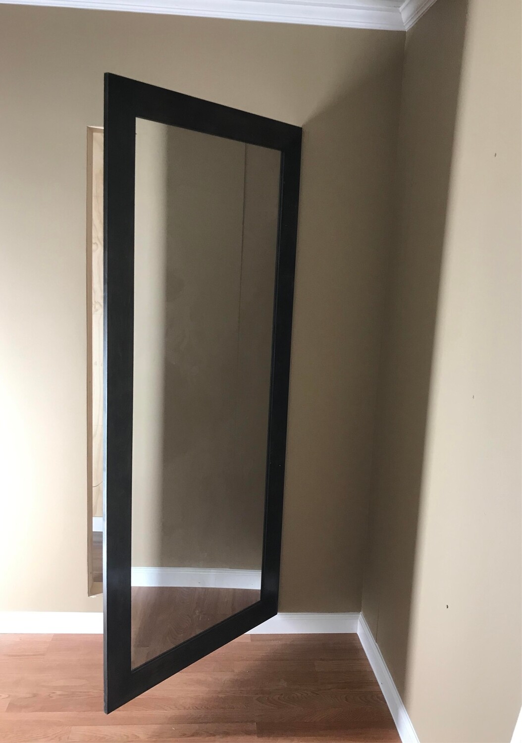 Hidden Mirror Door