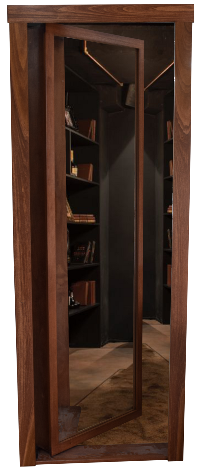 Mirror Bookcase Door