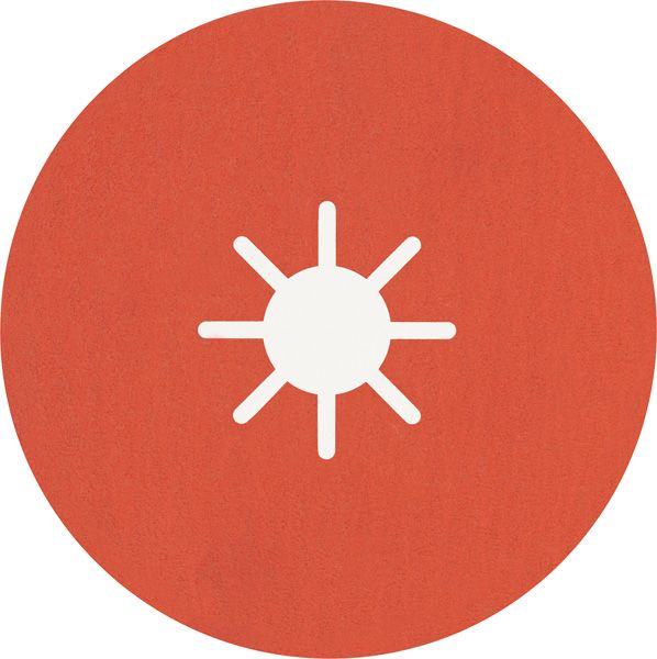 BOSCH EXPERT R782 Prisma Ceramic Fiberscheibe, 180 mm, 22,23 mm, K 120, 25 Stk.