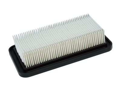 BOSCH Flacher PES-Plisseefilter. Für Staubsauger
