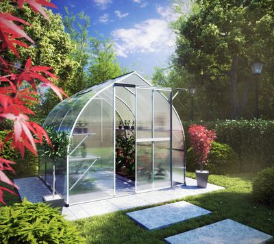 Gewächshaus Rhodo III