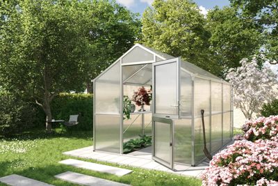 Gewächshaus Iris III