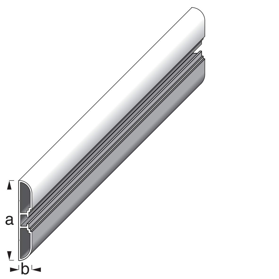 ALFER Systemschiene Coaxis Alu 1m max.Belastung 90kg