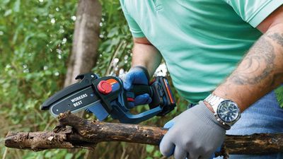 WORKERS BEST Akku-Astsäge WB 18V-AAS CPF Brushless
